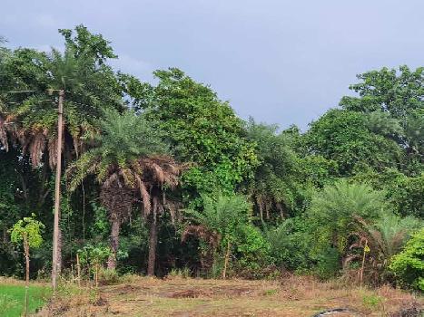 Property for sale in Naya Raipur, Raipur