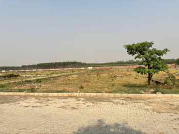 Residential Plot for Sale in Manav Chowk, Ambala (1250 Sq.ft.)