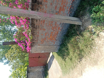 Residential Plot for Sale in Sector 10, Ambala (1920 Sq.ft.)