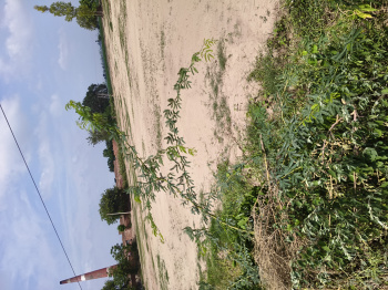 Residential Plot for Sale in Sector 23, Ambala (4500 Sq.ft.)
