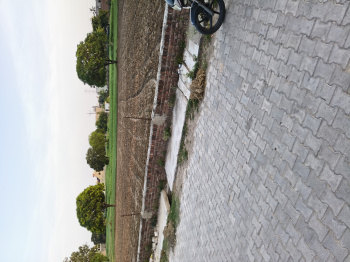 Residential Plot for Sale in Sector 10, Ambala (1440 Sq.ft.)