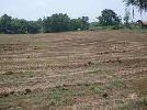 Residential Plot for Sale in Murlipura, Jaipur
