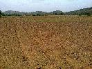 Residential Plot for Sale in Murlipura, Jaipur
