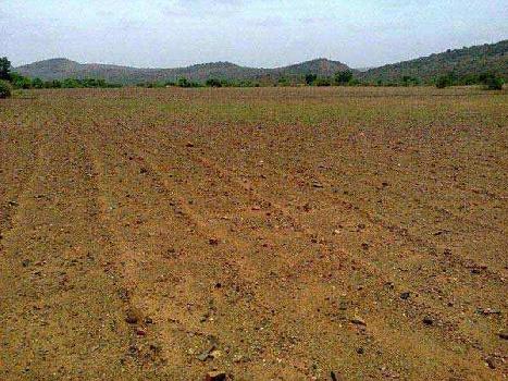 Residential Plot for Sale in Murlipura, Jaipur