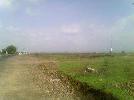 Residential Plot for Sale in Murlipura, Jaipur