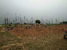 Residential Plot for Sale in Vidyadhar Nagar Sec-8