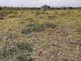 Residential Plot for Sale in Vidhyadhar Nagar, Jaipur