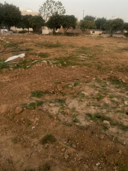 350 Sq. Yards Residential Plot for Sale in Mullanpur, Mohali
