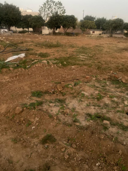 250 Sq. Yards Residential Plot for Sale in Sector 94, Mohali