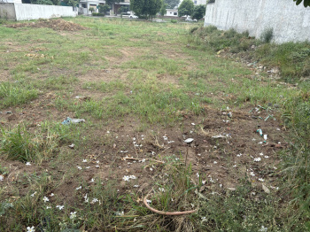 Property for sale in Sector 80 Mohali
