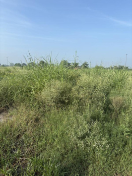 Residential Plot for Sale in Sunny Enclave, Mohali (1800 Sq.ft.)