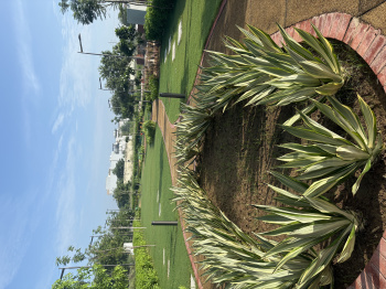 Property for sale in Sunny Enclave, Mohali