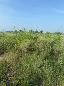 100 Sq. Yards Residential Plot for Sale in Mullanpur, Mohali