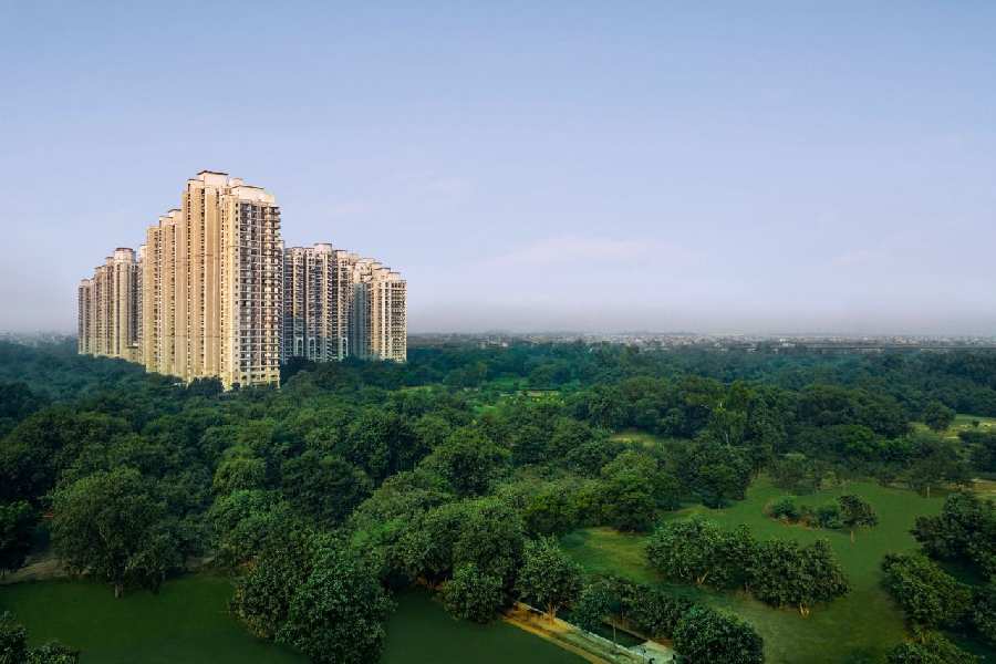 3 BHK Flats & Apartments for Sale in New Moti Nagar, Moti Nagar, Delhi (2400 Sq.ft.)
