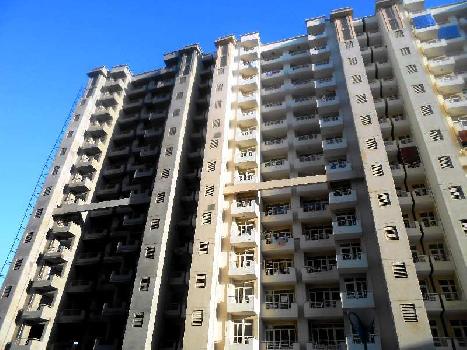 1 BHK Fully Furnished Flat for rent at Avalon Gardens, Bhiwadi