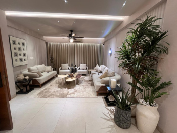 3.5 BHK Flats & Apartments for Sale in Zirakpur Road, Chandigarh (271 Sq. Yards)