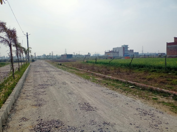 Residential Plot for Sale in Gosainganj, Lucknow (1074 Sq.ft.)