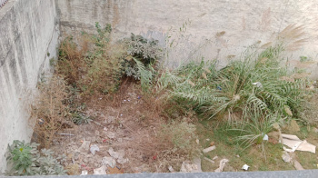 Residential Plot for Sale in Sector 25, Panchkula (209 Sq. Meter)