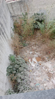 Residential Plot for Sale in Sector 26, Panchkula (1386 Sq. Meter)