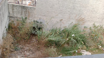 Residential Plot for Sale in Sector 28, Panchkula (151.2 Sq. Meter)