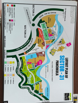 SALE 350 SQYD NEW KOTHI IN SECTOR 31