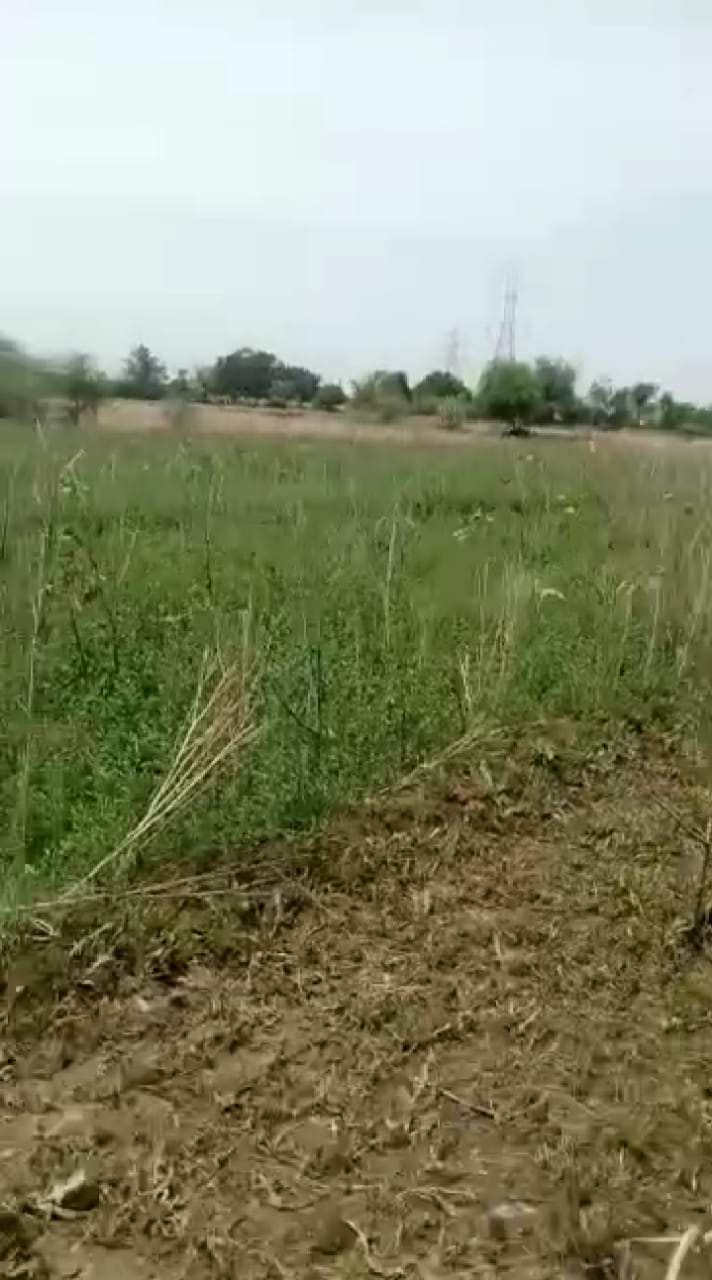 5 Acre Agricultural/Farm Land For Sale In Pehowa, Kurukshetra