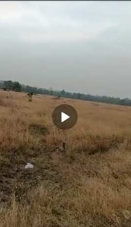 08 acres road touch land for sale village Dabha ,near Yerangaon