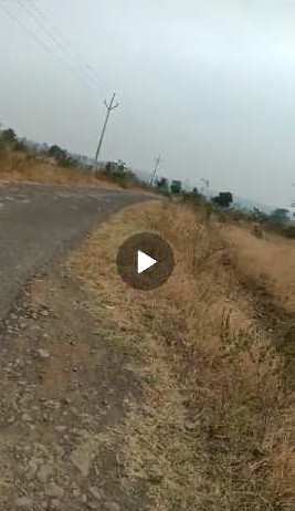 08 acres road touch land for sale village Dabha ,near Yerangaon