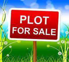 North Facing 5000 sq ft plot for Sale in Laxmi Nagar