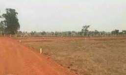 5 acres land for sale  for 10 in lacs only URGENTLY