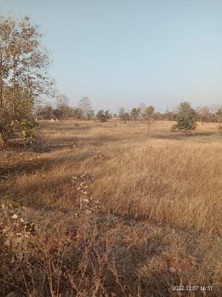1.25 Acre Agricultural/Farm Land for Sale in Narkhed, Nagpur