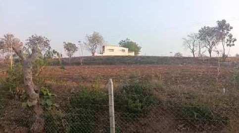 3.5 Acre Agricultural/Farm Land for Sale in Katol, Nagpur