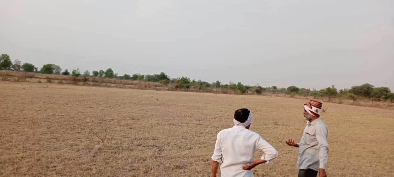 6 acres of land for sale at Seloo, Kalmeshwar @ 20 lacs