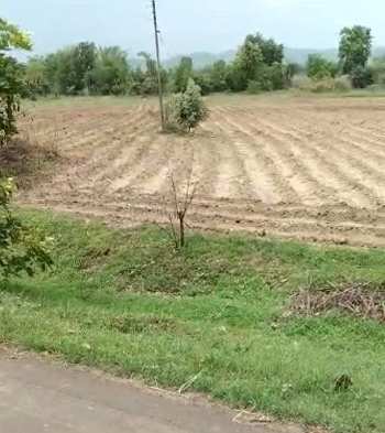 10 acres irrigated land for sale at Village Jatamkhora