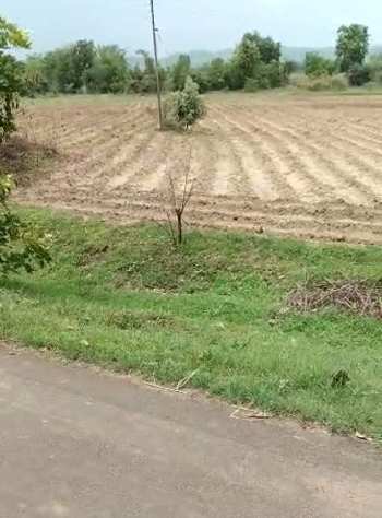 15 acres of land for sale in Katol Tahasil @ 2.25 lacs per acre