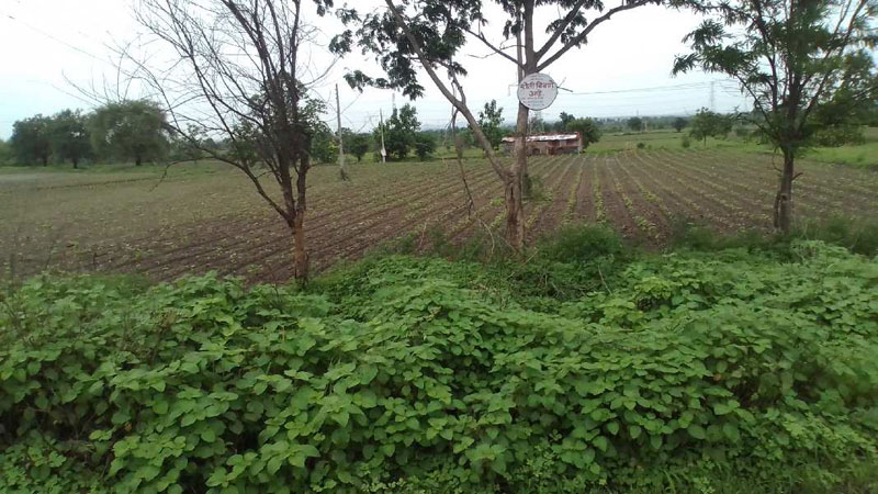 02 acres of state highway touch land for sale at Village Girad