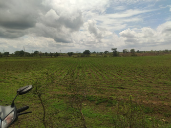 30 acres of cheap agricultural land for sale
