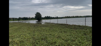 11 acres of Lake touch property for sale in Katol Tahasil