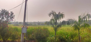 Property for sale in Katol, Nagpur
