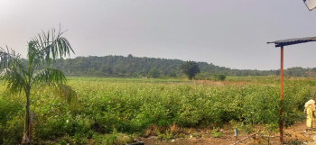 Property for sale in Katol, Nagpur