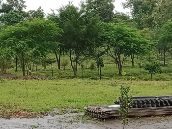 11 acres land for sale in Mahalgaon, Bhandara road