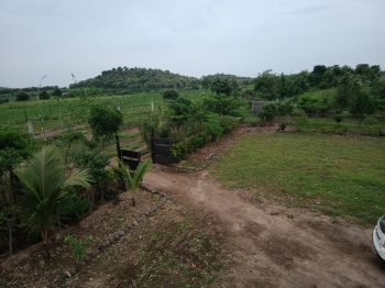 Agricultural/Farm Land for Sale in Kondhali, Nagpur (10000 Sq.ft.)
