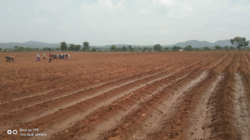 34 acres land for sale in Taluka Narkhed @ 4.50 lacs/acre