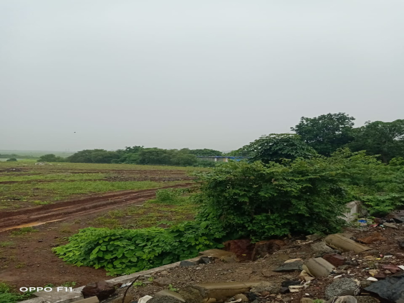 3 acres land for sale in Borkhedi,Nagpur near Law university
