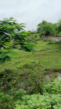 150 Acre Agricultural/Farm Land for Sale in Kalamb, Yavatmal