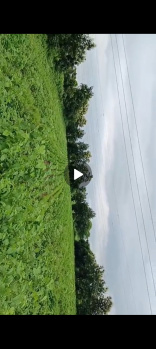 Property for sale in Savner, Nagpur