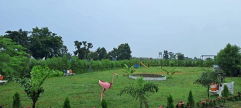 13.25 acres of road touch land for sale at Village Bothali ,Wardha arvi road