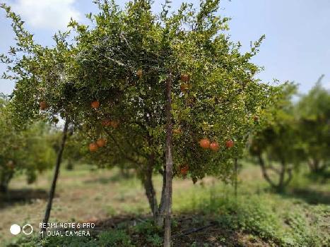 Property for sale in Arvi, Wardha