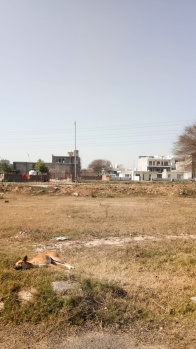 250 Sq. Yards Residential Plot for Sale in Aerocity, Mohali