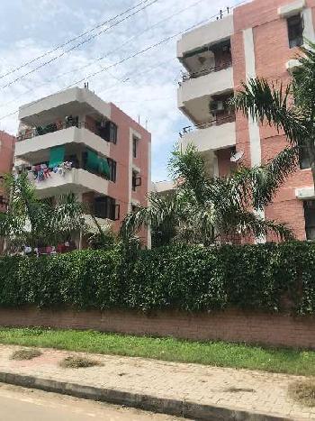 2 BHK Flats & Apartments For Rent In Sector 5, Panchkula (1100 Sq.ft.)